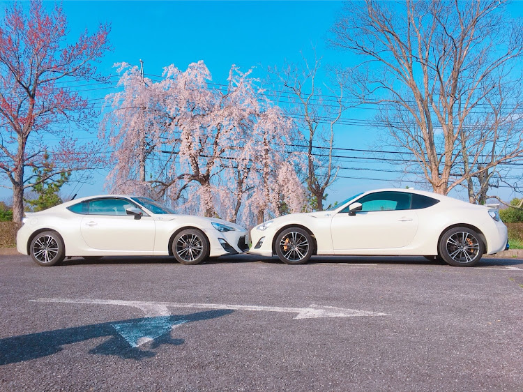 86のドライブ・桜と愛車に関するカスタム事例の投稿画像1枚目