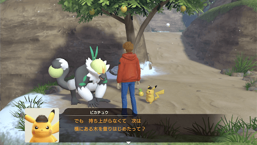 遺跡に住んでいるポケモンに聞き込みをする