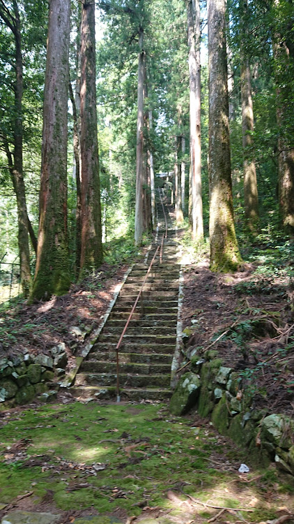 の投稿画像5枚目