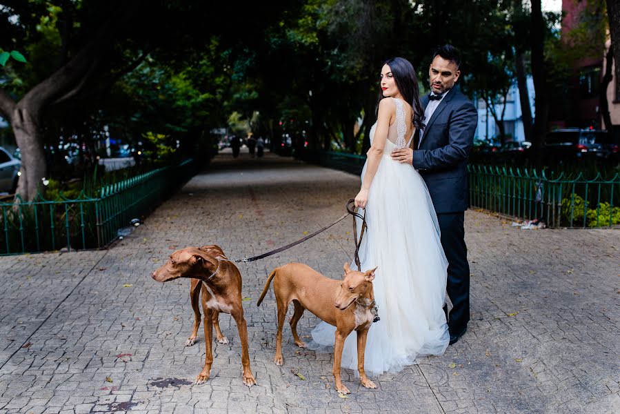 Wedding photographer Gonzalo Verdeja (gvphotographer). Photo of 25 February 2020