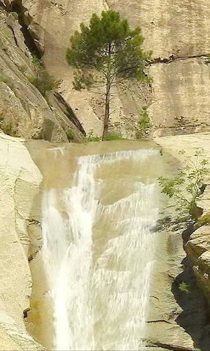 Life on rocks and waterfall