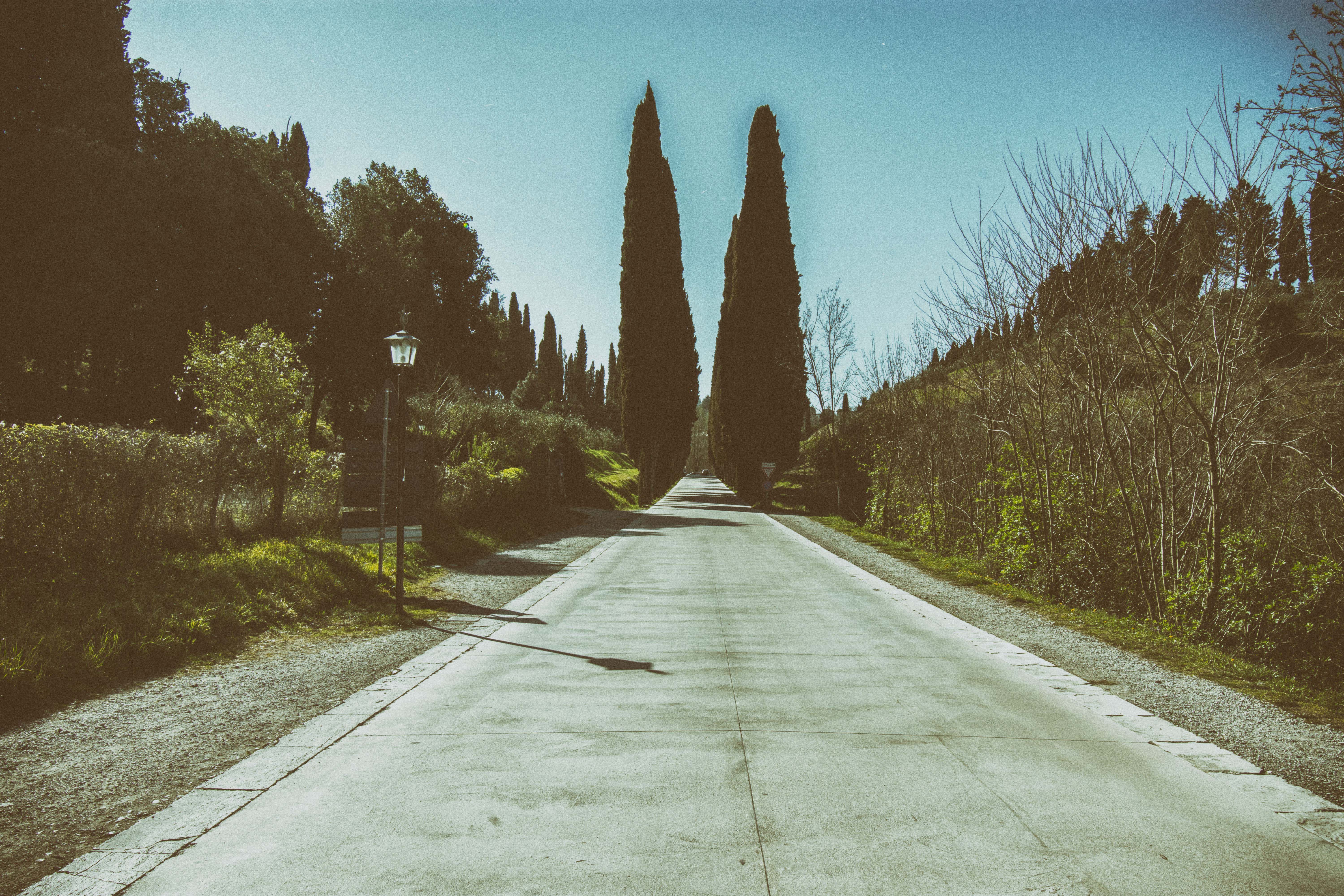 paesaggi Toscani di GazzolaFrancesco