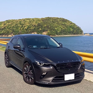 CX-3 DKEFW