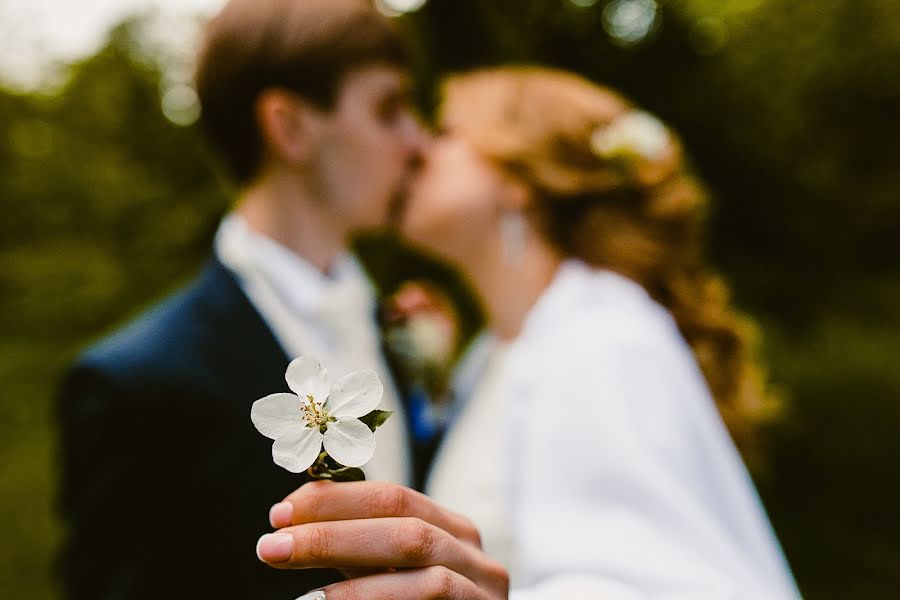 Wedding photographer Dmitriy Tolmachev (dimtol). Photo of 11 October 2017