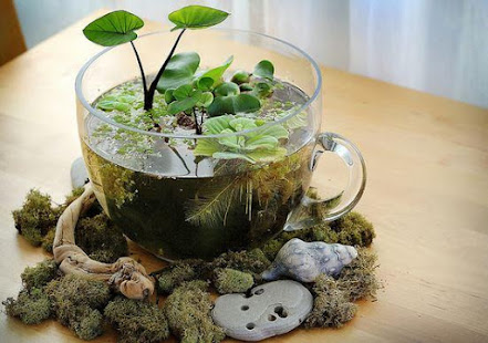 植物回收(圖4)-速報App