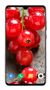 Fruit Wallpaper 4K(圖8)-速報App