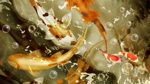 Koi Fish Pack 3 Live Wallpaper