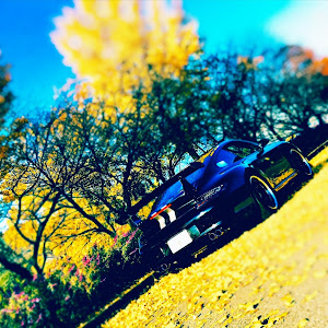 911 クーペ