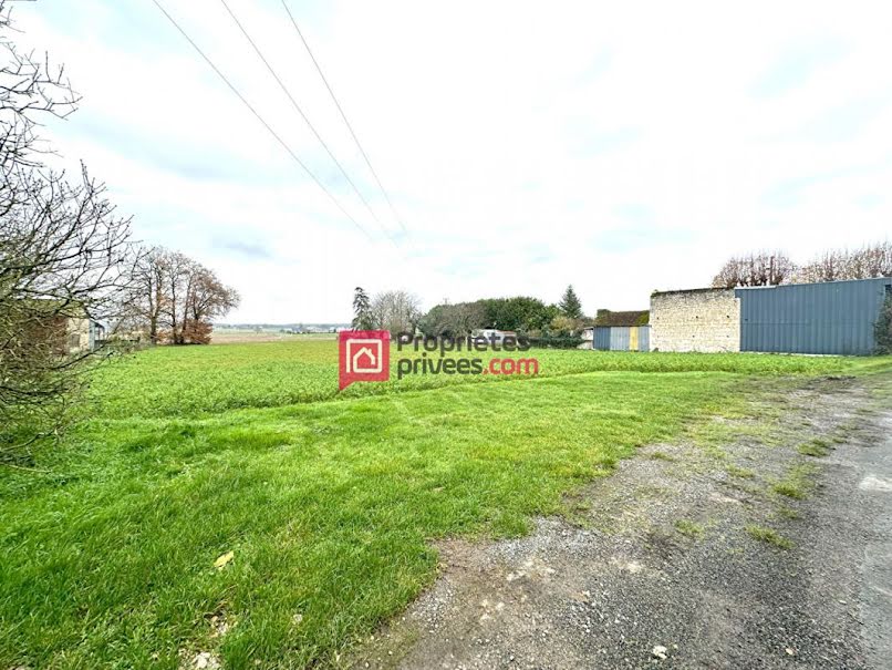 Vente terrain  1650 m² à Chinon (37500), 22 990 €