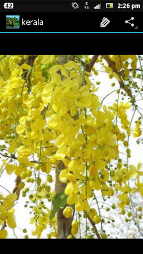 Hd Wallpapers For Mobile Kerala