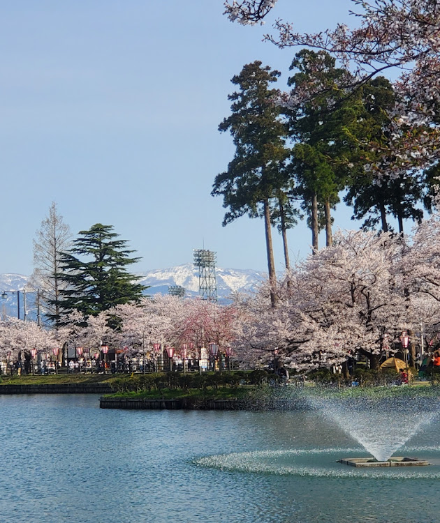 MPVのオリンピック遺産？・草ヒロ🚗撤去・🌸観桜会・露店飯探し・🌸投稿まだ続くに関するカスタム事例の投稿画像11枚目