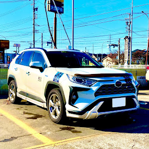 RAV4 MXAA54