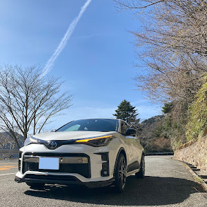 C-HR NGX10