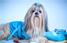 Shih Tzu Themes & New Tab small promo image