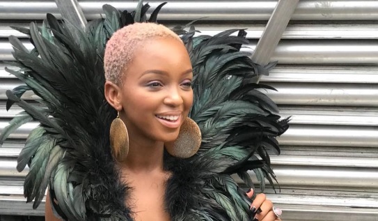 Nandi Madida isn't afraid to experiment with her hair colour. She sported a short blonde and pink crop while hosting Afro Punk in New York.