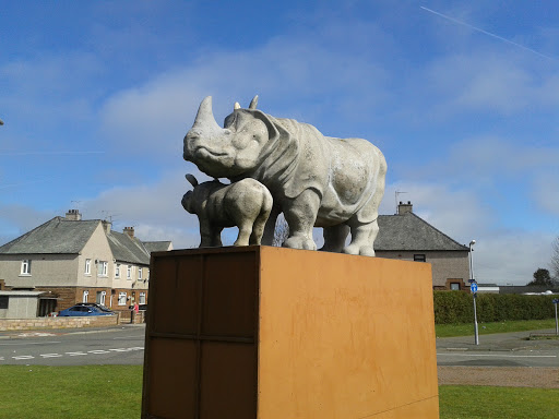 lincluden Rhino