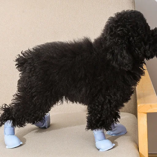 New dog shoes waterproof, anti-slip and wear-resistant outdoor dog rain shoes pet clippings nails anti-scratch pet suppl