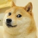 doge Chrome extension download