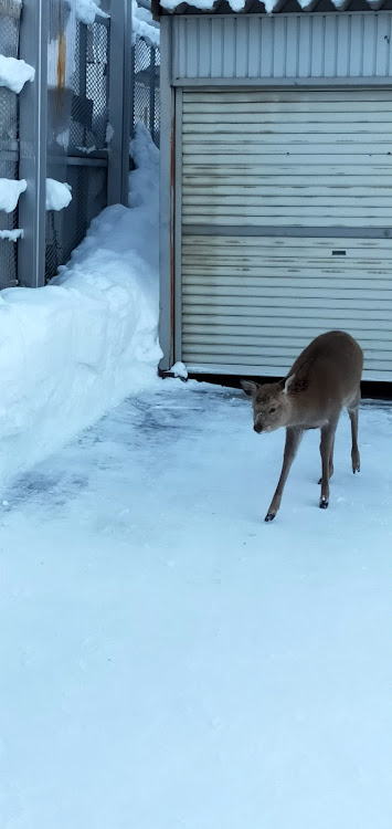 の投稿画像1枚目