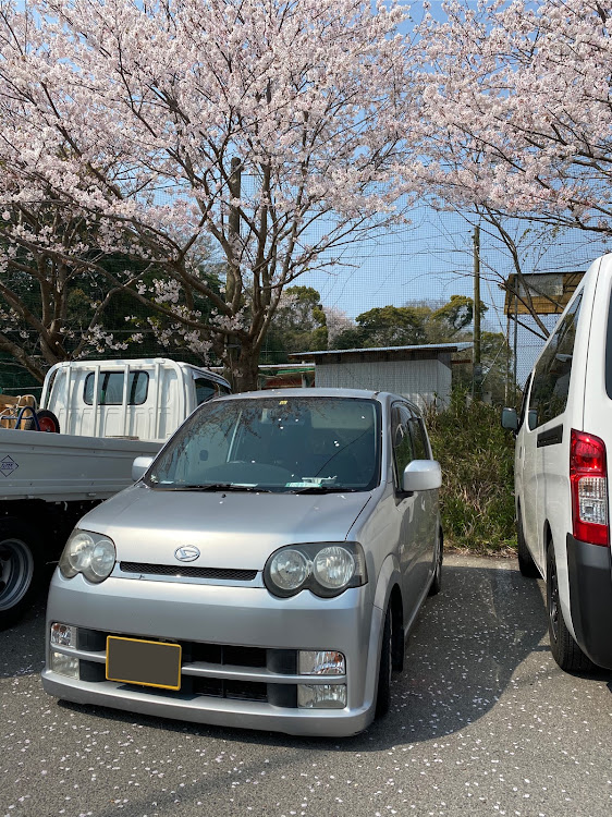 ムーヴカスタムのムーヴと桜・車高ダウン・改造車・コロナウイルスに負けるなに関するカスタム事例の投稿画像1枚目