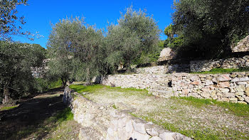 terrain à Eze (06)