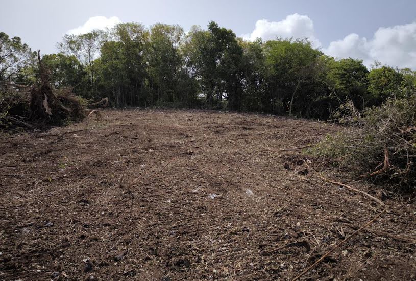  Vente Terrain à bâtir - à Sainte-Anne (97180) 