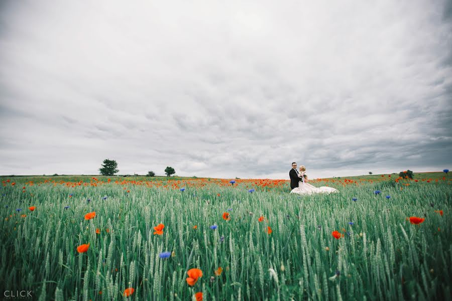 Wedding photographer Oleksandr Kernyakevich (alex94). Photo of 9 June 2016