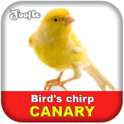 Canary Bird's chirp 娛樂 App LOGO-APP開箱王