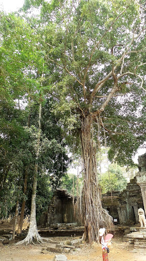 Cambodia 2016