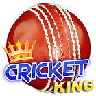 Cricket King 1.4