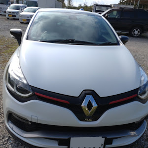 ルーテシア RM5M1