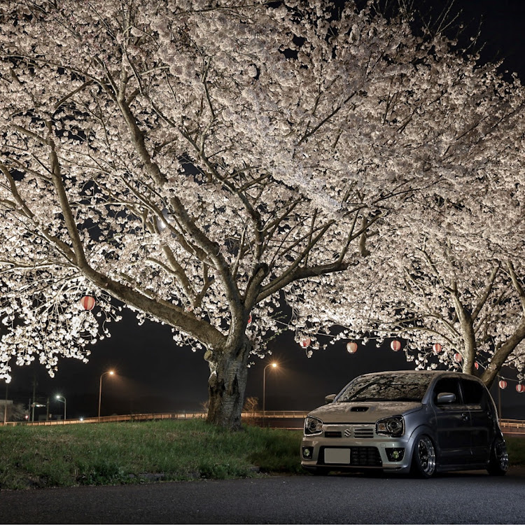 アルトワークスの良い写真撮れたと思う・桜と愛車・桜とコラボ・夜桜・桜に関するカスタム事例の投稿画像1枚目