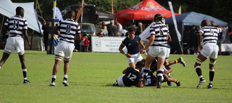 Graeme College, in navy blue, and Selborne produced an exciting finish to the Graeme Rugby Festival in Makhanda on Saturday, with the latter holding on for a hard-earned 14-7 victory