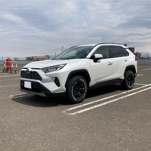 RAV4 MXAA54