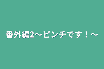 番外編2～ピンチです！～