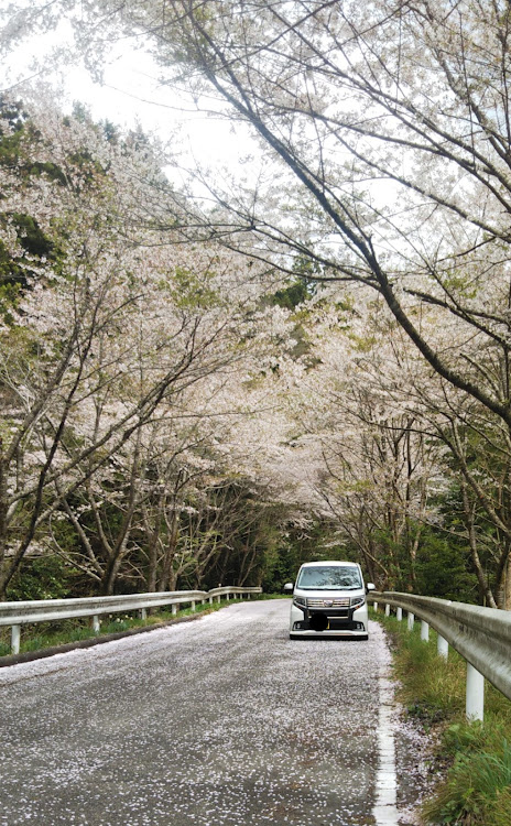 の投稿画像2枚目