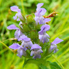 Common self-heal