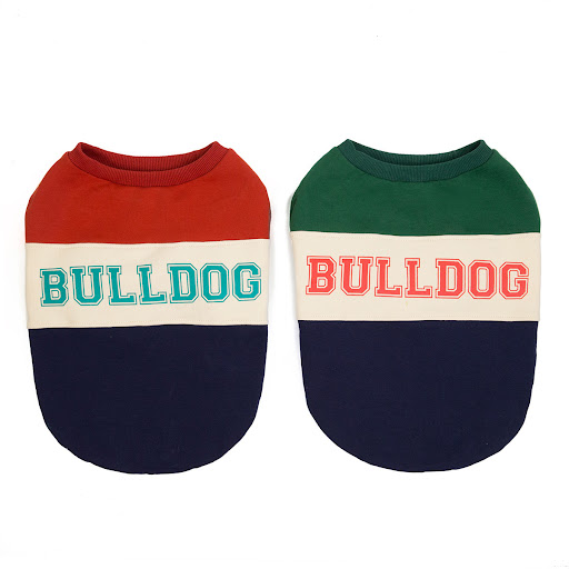 Title 4, Pet Color Matching Sweater. Match your dogs cl...