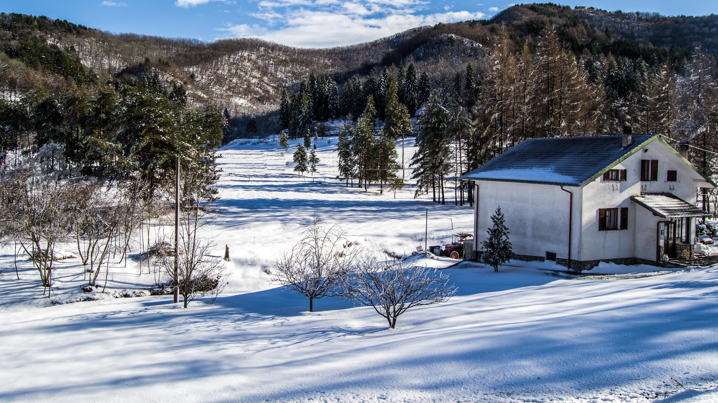 Prato innevato di andrea_cantanna