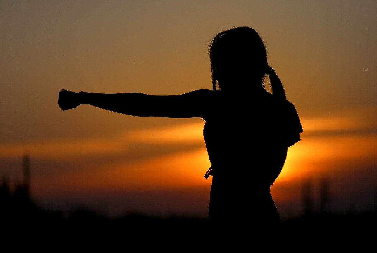 Karate, Sunset, Fight, Sports, Silhouette, Resistance