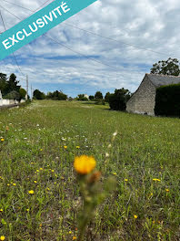 terrain à Ingrandes-de-Touraine (37)