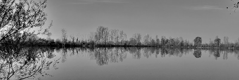 Riflessi...simmetrici di tetopedro