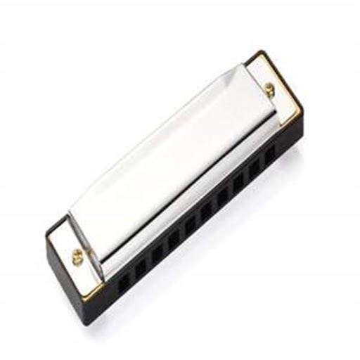 Title 5, Stainless Steel Cover Ten-hole Harmonica in C p...