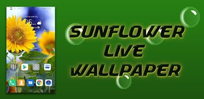 Sunflower Live Wallpaper Screenshot 1 of 5