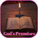 Bible Promise Chapter by Chapter icon