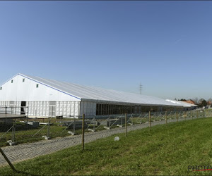 Zo wielergek is Vlaanderen: ruim twee weken voor de Ronde verrijst gigantische tent op de Oude Kwaremont