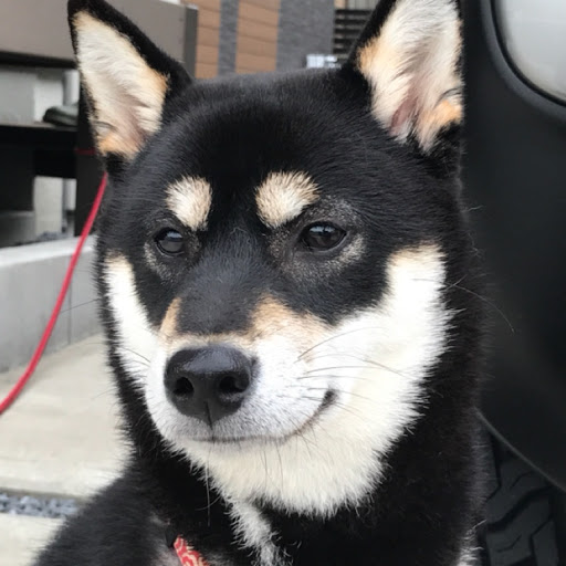 きゅ〜んのプロフィール画像