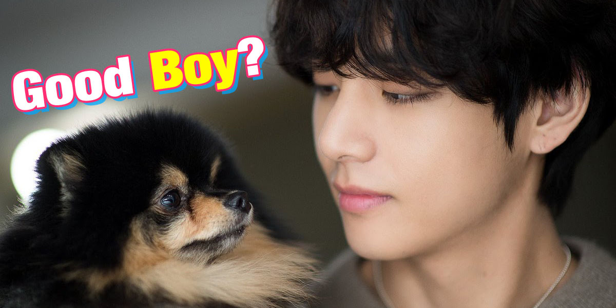 BTS's V hilariously confesses that the role of Yeontan in the