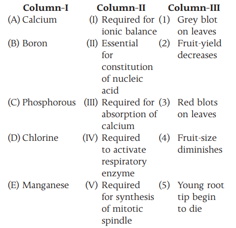 Physiological Roles and Deficiency Symptoms of Macroelements