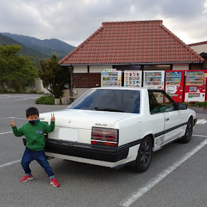 スカイライン